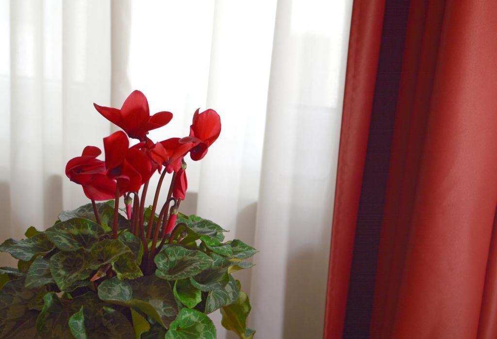 Camere Delfini 팔마노바 외부 사진